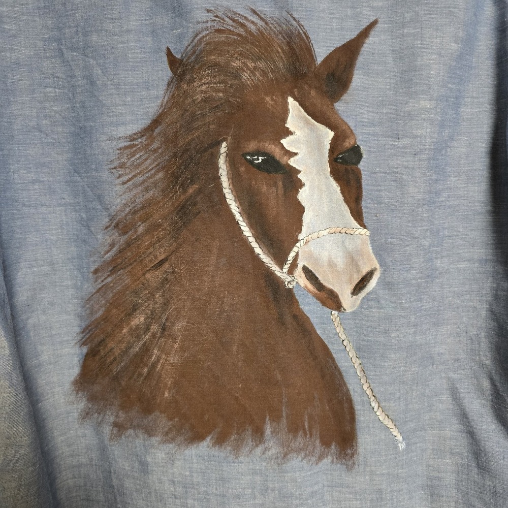 Sears‎ Fieldmaster Chambray Work Shirt Vintage Hand Painted Horse Size Large - Picture 3 of 9